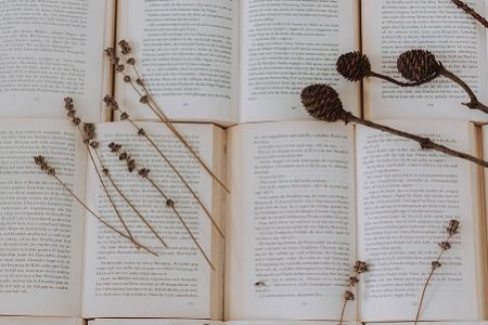 conturi instagram cu cărți